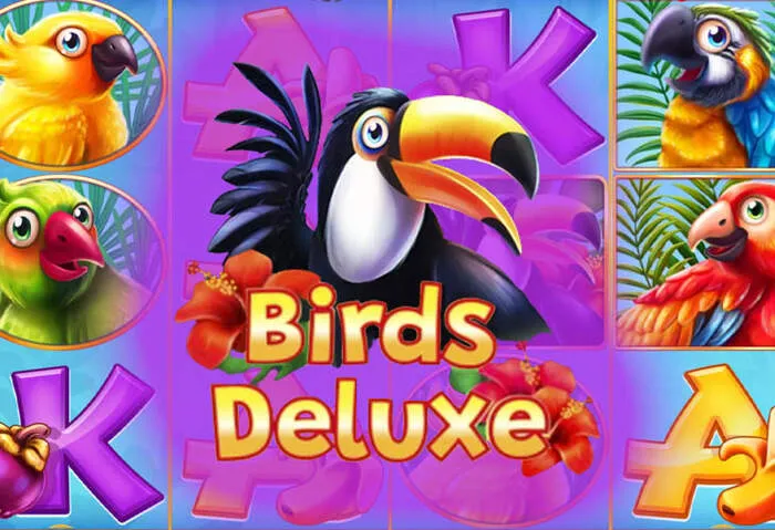 Experiencia de juego móvil fluida en Cuscocasino para apuestas en cualquier lugar.